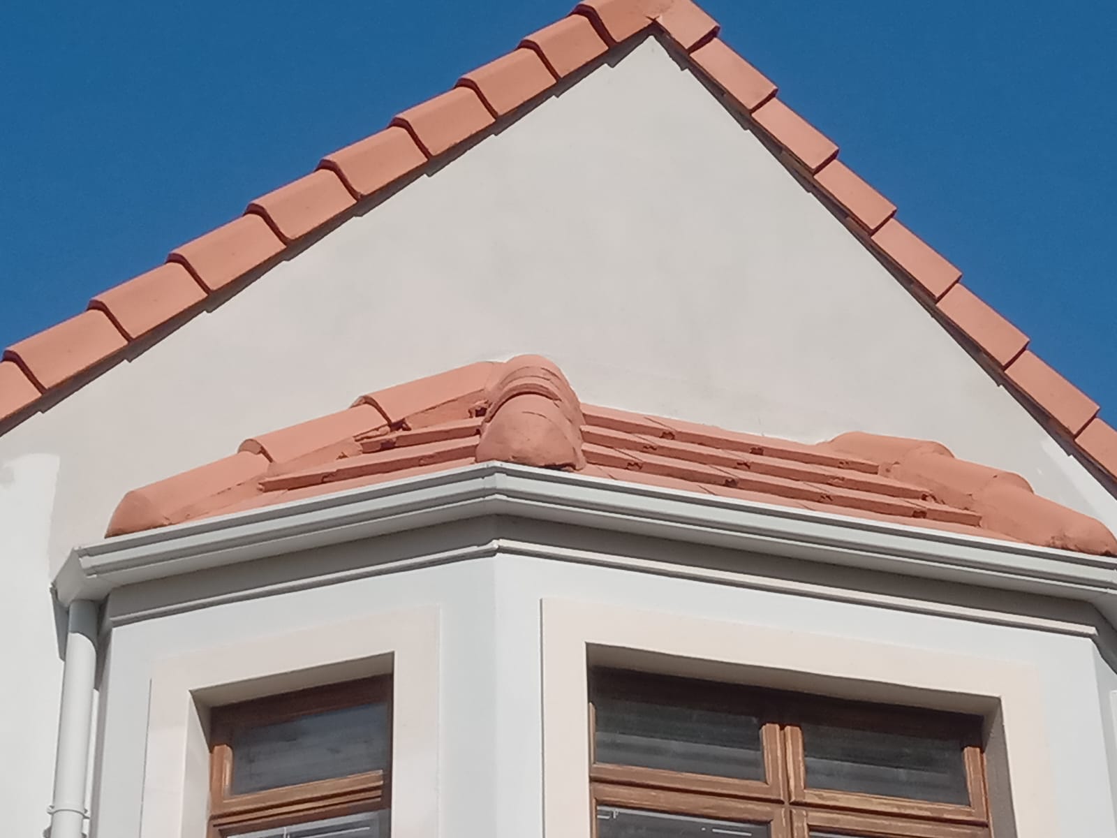 whatsapp image 2026 02 08 at 15.35.29 (1)